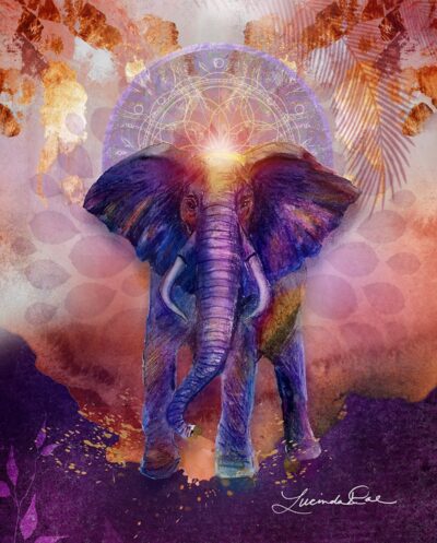 Elephant Art Print