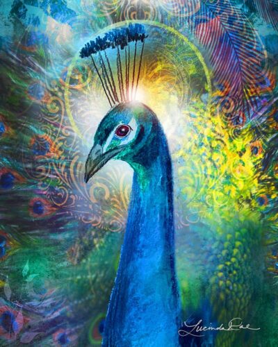 Peacock Art Print